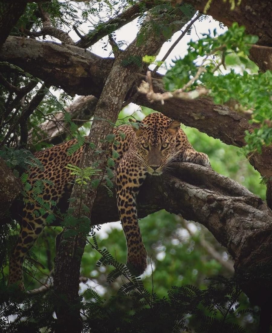 a89d3d9f047e72a0efb26fb94782a5ec