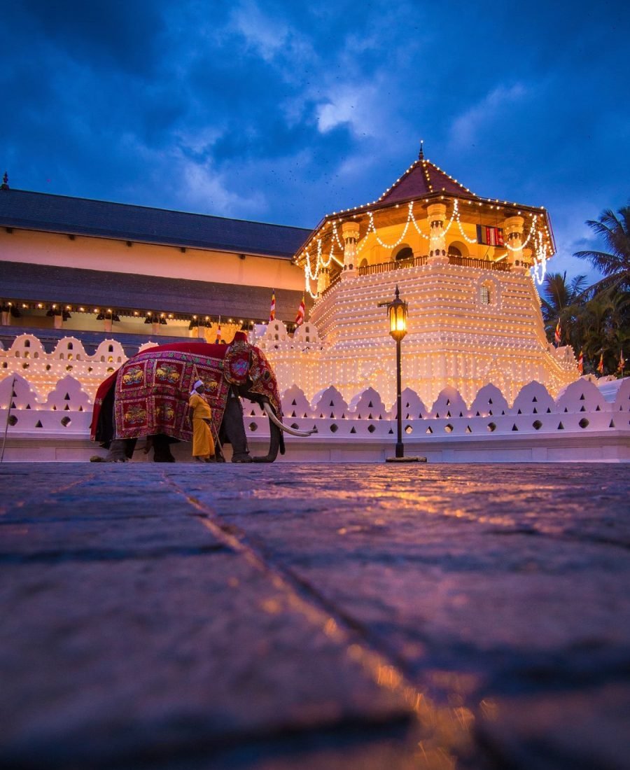 d04e03e02e64b5f0297ed0c3e476e892